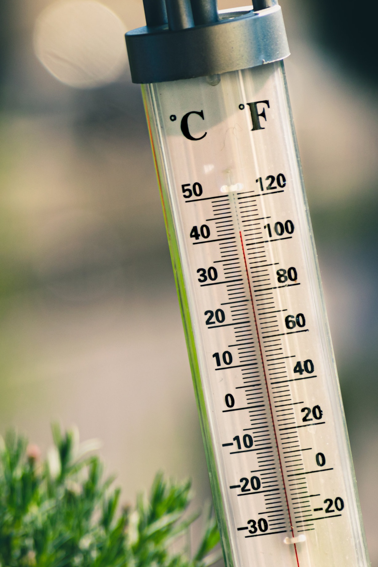 img-5d4eb46b5b52b400019195e5