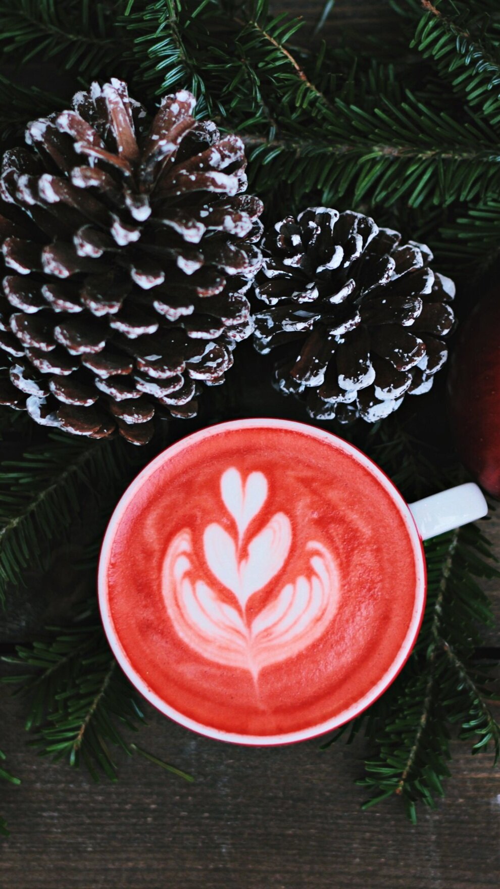 img-5df775bd34929a2cbf430859