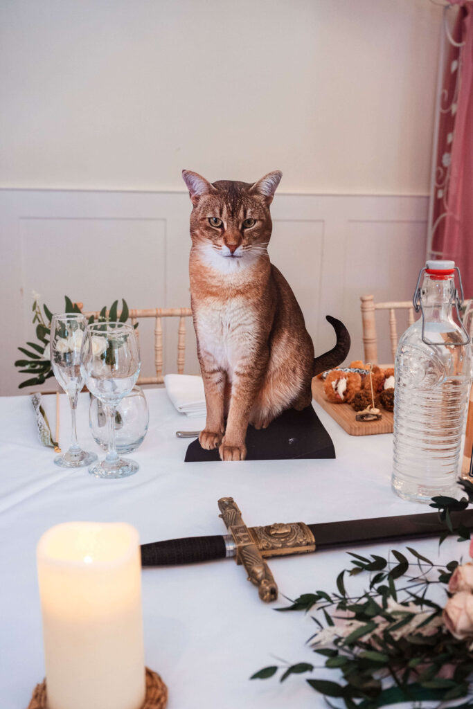 Miranda the Celebrant | Hampshire Ceremonies Cat figurine on a dining table